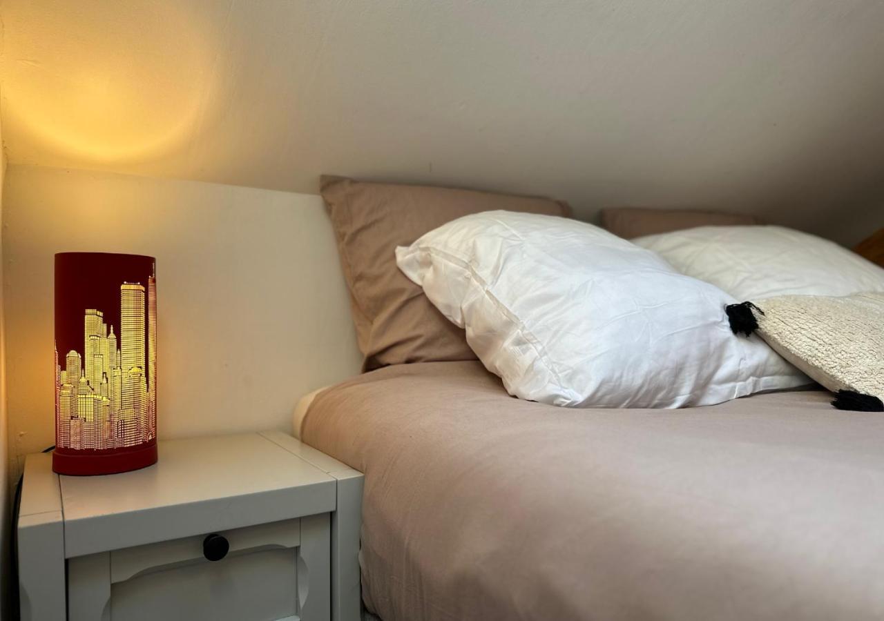 Duplex Loft - Central & Home Cinema Annecy Exteriör bild